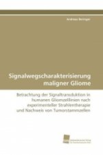 Signalwegscharakterisierung maligner Gliome