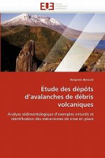 Etude des depots d''avalanches de debris volcaniques