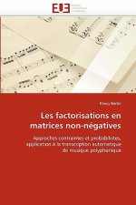 Les Factorisations En Matrices Non-N gatives