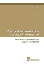 Electrical and Mechanical Activity of the Intestine
