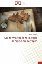 Les formes de la folie dans le 
