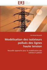 Mod lisation Des Isolateurs Pollu s Des Lignes Haute Tension