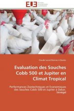 Evaluation Des Souches Cobb 500 Et Jupiter En Climat Tropical