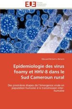 Epidemiologie Des Virus Foamy Et Hhv-8 Dans Le Sud Cameroun Rural