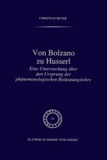 Von Bolzano zu Husserl