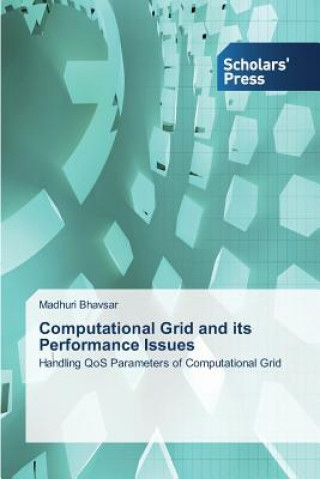 Computational Grid and its Performance Issues