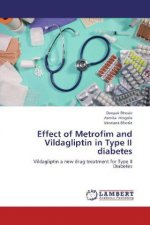 Effect of Metrofim and Vildagliptin in Type II diabetes
