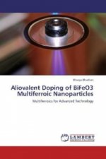 Aliovalent Doping of BiFeO3 Multiferroic Nanoparticles