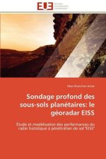 Sondage Profond Des Sous-Sols Plan taires