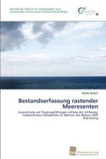 Bestandserfassung rastender Meeresenten