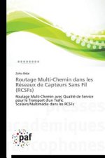 Routage Multi-Chemin Dans Les Reseaux de Capteurs Sans Fil (Rcsfs)