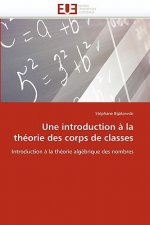 introduction a la theorie des corps de classes