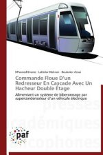 Commande Floue D Un Redresseur En Cascade Avec Un Hacheur Double Etage