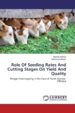Role Of Seeding Rates And Cutting Stages On Yield And Quality