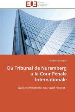 Du Tribunal de Nuremberg   La Cour P nale Internationale