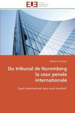 Du Tribunal de Nuremberg La Cour Penale Internationale