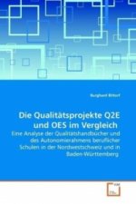 Die Qualitätsprojekte Q2E und OES im Vergleich