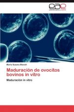 Maduracion de Ovocitos Bovinos in Vitro