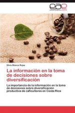 informacion en la toma de decisiones sobre diversificacion
