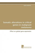 Somatic Alterations in Critical Genes in Malignant Melanoma