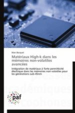 Matériaux High-k dans les mémoires non-volatiles avancées