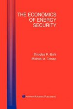 Economics of Energy Security