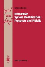 Interactive System Identification: Prospects and Pitfalls