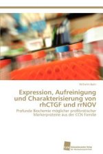 Expression, Aufreinigung und Charakterisierung von rhCTGF und rrNOV