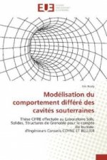 Modélisation du comportement différé des cavités souterraines