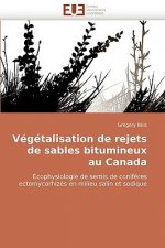 V g talisation de Rejets de Sables Bitumineux Au Canada
