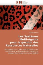 Les Syst mes Multi-Agents Pour La Gestion Des Ressources Naturelles
