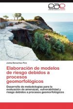 Elaboracion de Modelos de Riesgo Debidos a Procesos Geomorfologicos