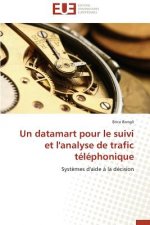 Un Datamart Pour Le Suivi Et l'Analyse de Trafic T l phonique