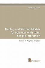 Pinning and Wetting Models for Polymers with semi-flexible Interaction