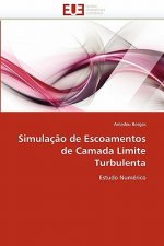 Simula  o de Escoamentos de Camada Limite Turbulenta