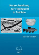 Kurze Anleitung Zur Fischzucht in Teichen