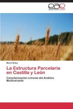 Estructura Parcelaria en Castilla y Leon