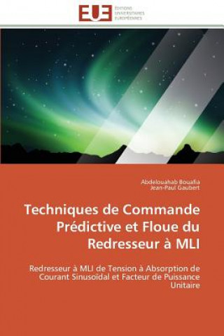 Techniques de commande predictive et floue du redresseur a mli