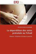 La D perdition Des Soins Pr natals Au Tchad