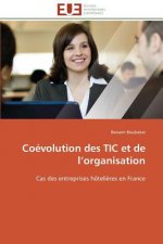 Co volution Des Tic Et de L Organisation
