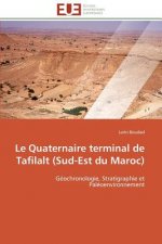 Le Quaternaire Terminal de Tafilalt (Sud-Est Du Maroc)