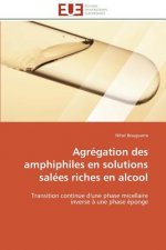 Agregation des amphiphiles en solutions salees riches en alcool