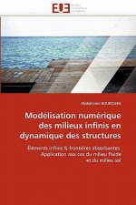Mod lisation Num rique Des Milieux Infinis En Dynamique Des Structures