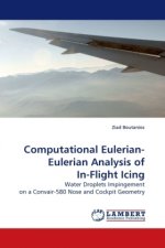 Computational Eulerian- Eulerian Analysis of In-Flight Icing