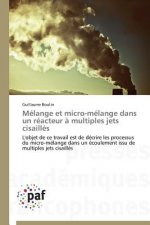 Melange Et Micro-Melange Dans Un Reacteur A Multiples Jets Cisailles