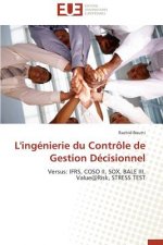 L'Ing nierie Du Contr le de Gestion D cisionnel