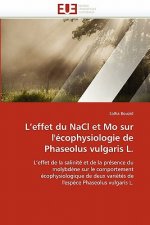 L''effet Du Nacl Et Mo Sur l'' cophysiologie de Phaseolus Vulgaris L.