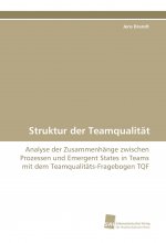 Struktur der Teamqualität