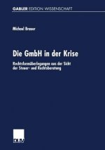 Die Gmbh in Der Krise