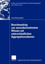 Benchmarking von Umweltorientiertem Wissen auf Unterschiedlichen Aggregationsebenen